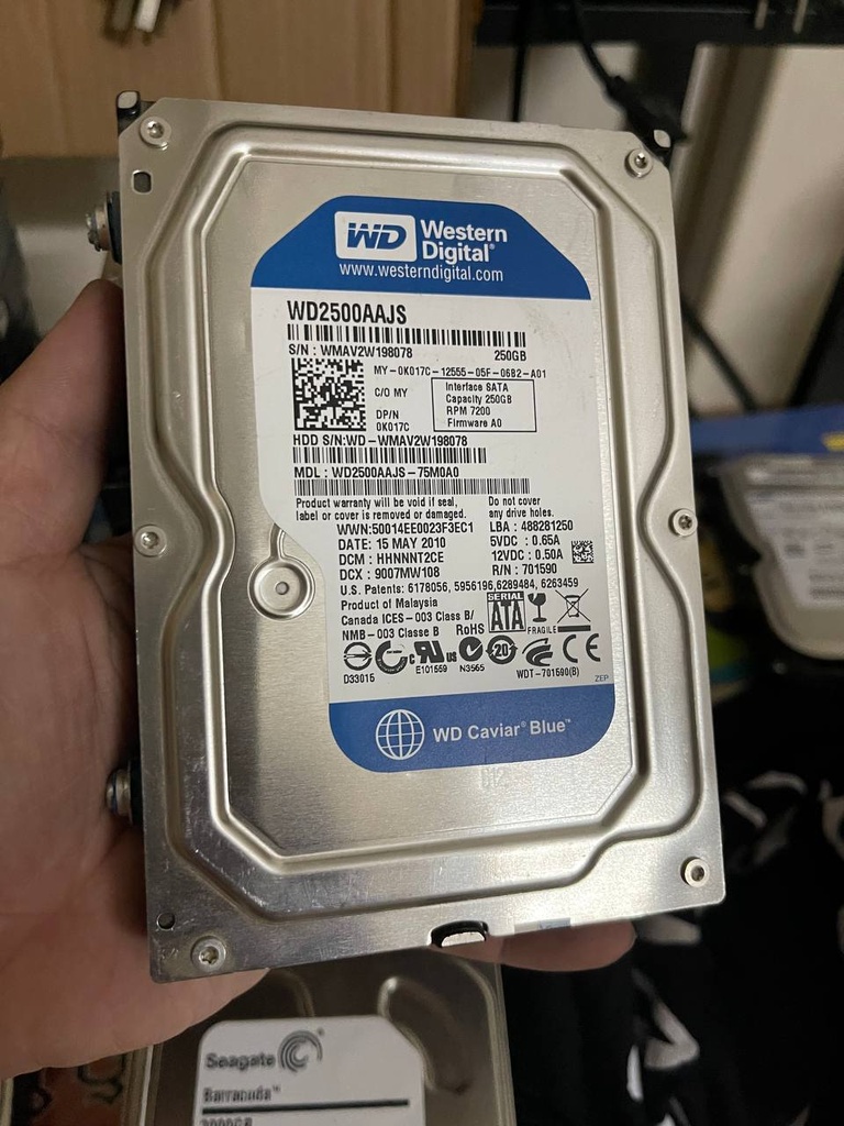 WD HDD 3.5' 250GB